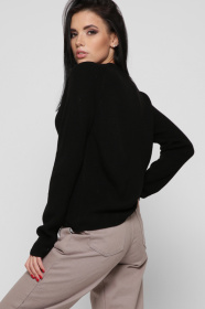 Джемпер CARICA модель SV65468 Фото