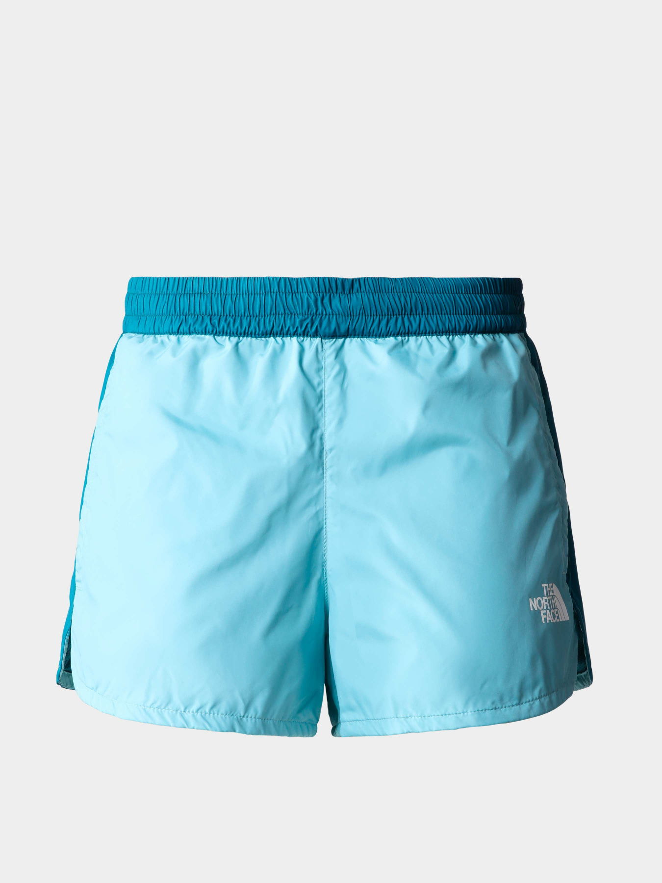 Шорты The North Face модель NF0A5J6GSK81 Фото