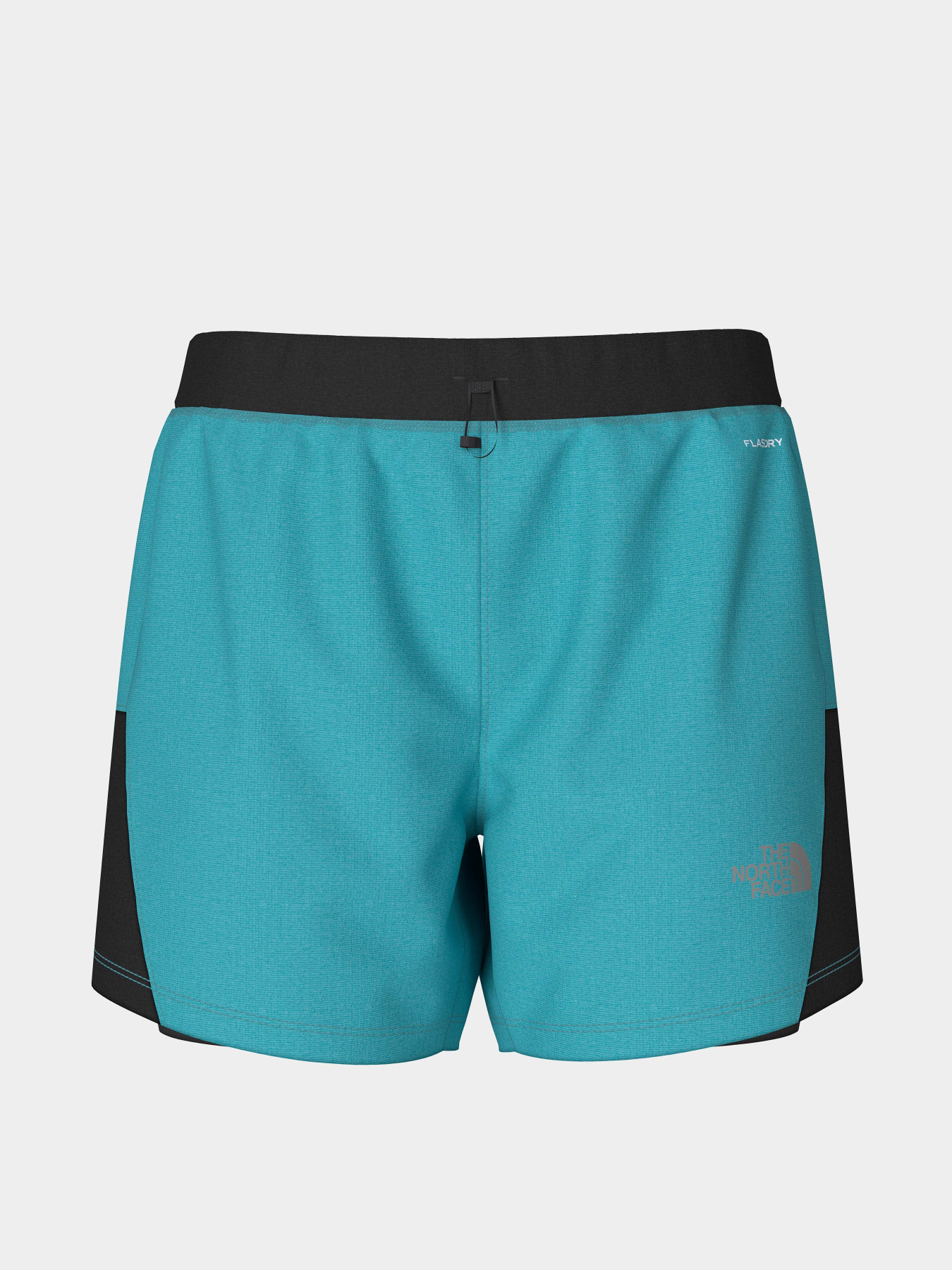 Шорты The North Face модель NF0A7SXRZK41 Фото