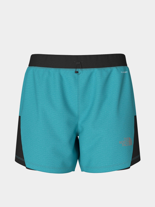 Шорты The North Face модель NF0A7SXRZK41 Фото