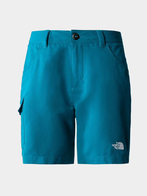 Шорты The North Face модель NF0A8251EFS1 Фото