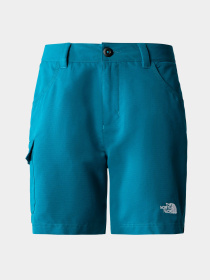Шорты The North Face модель NF0A8251EFS1 Фото