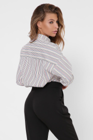 Рубашки CARICA модель BK76916 Фото