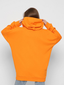 Худи CARICA модель 22017 Фото