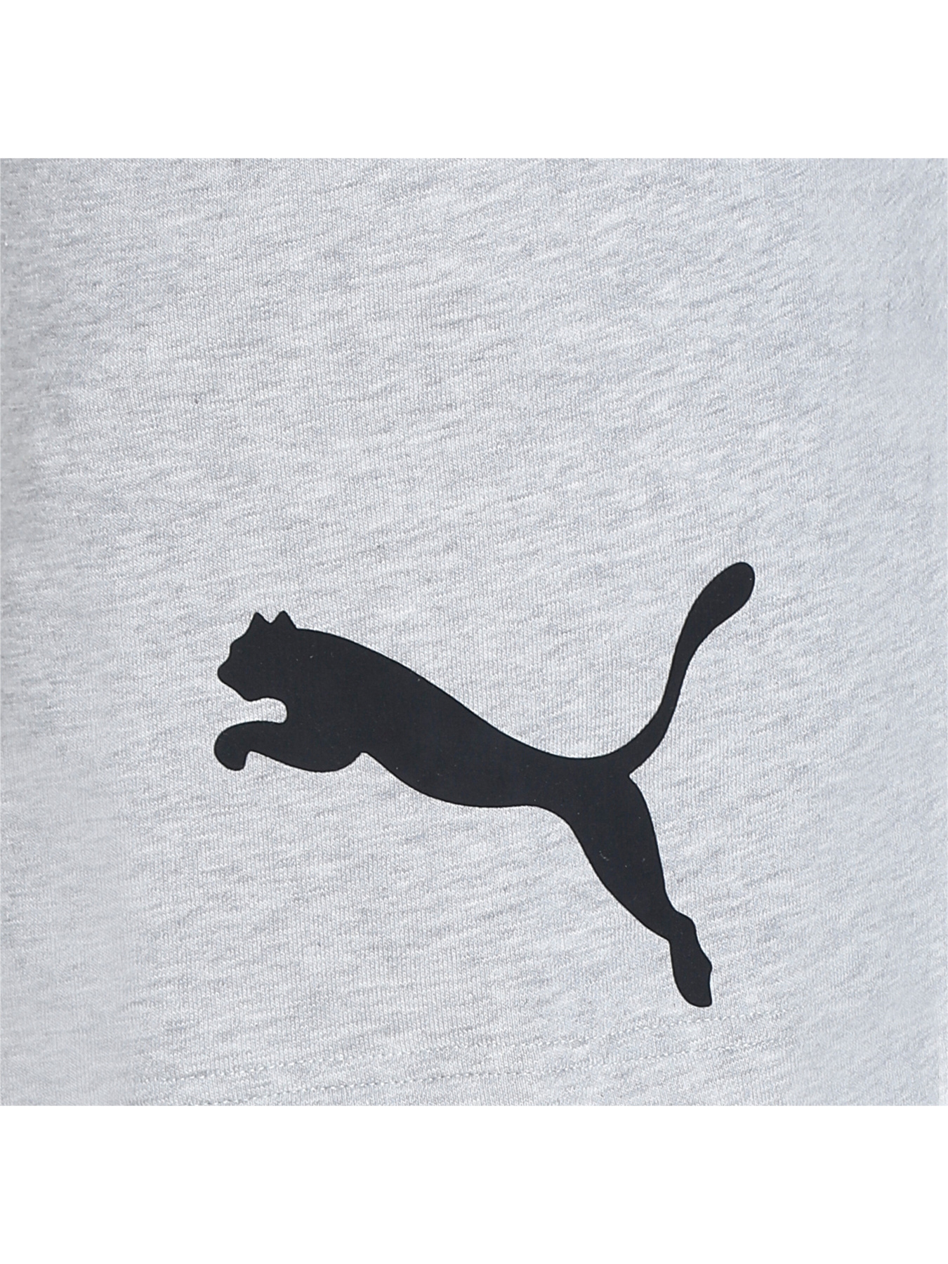 Спортивні шорти PUMA модель 673379 Фото