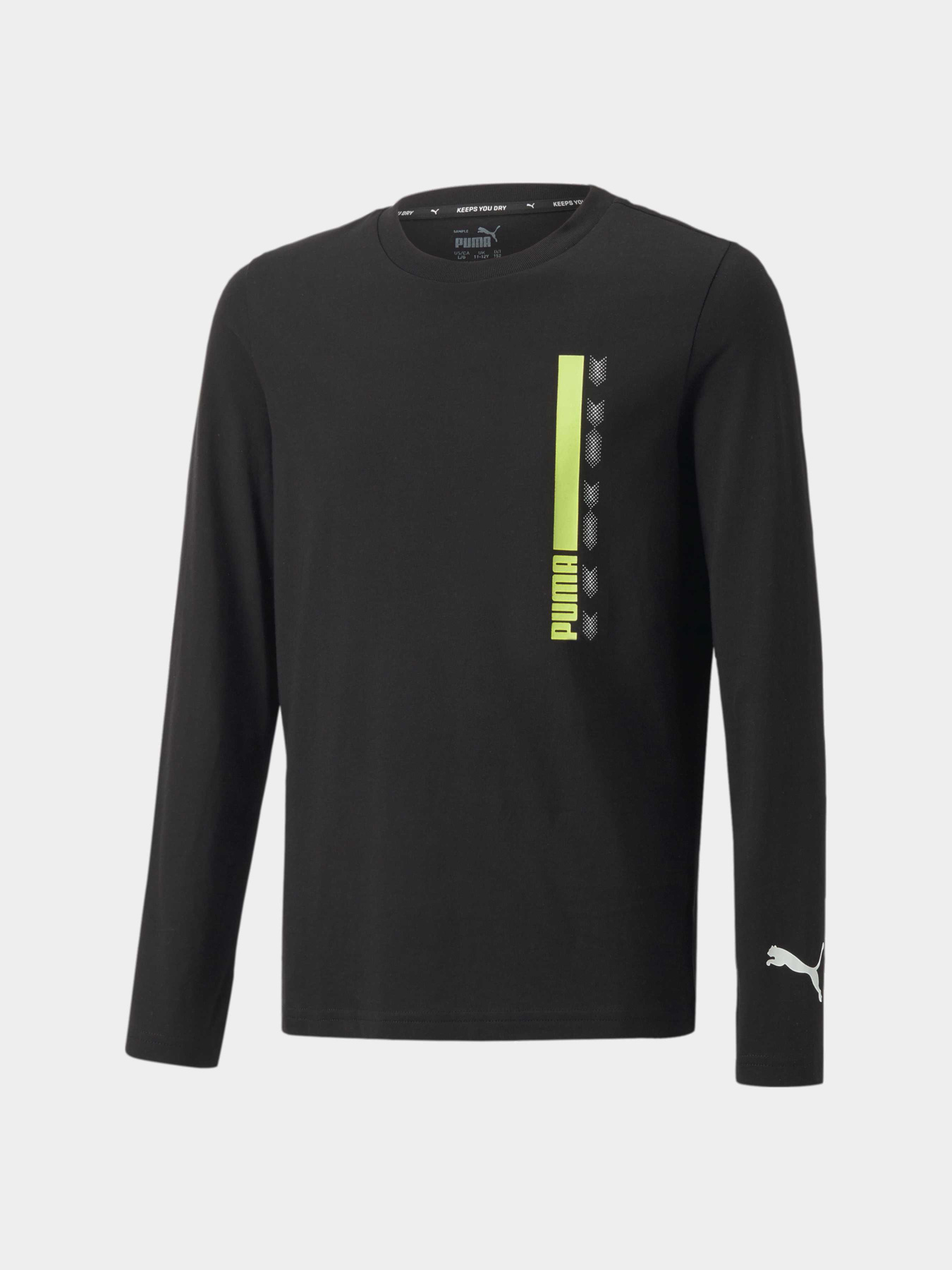 Лонгслив PUMA Active Sports Longsleeve модель 670073 Фото