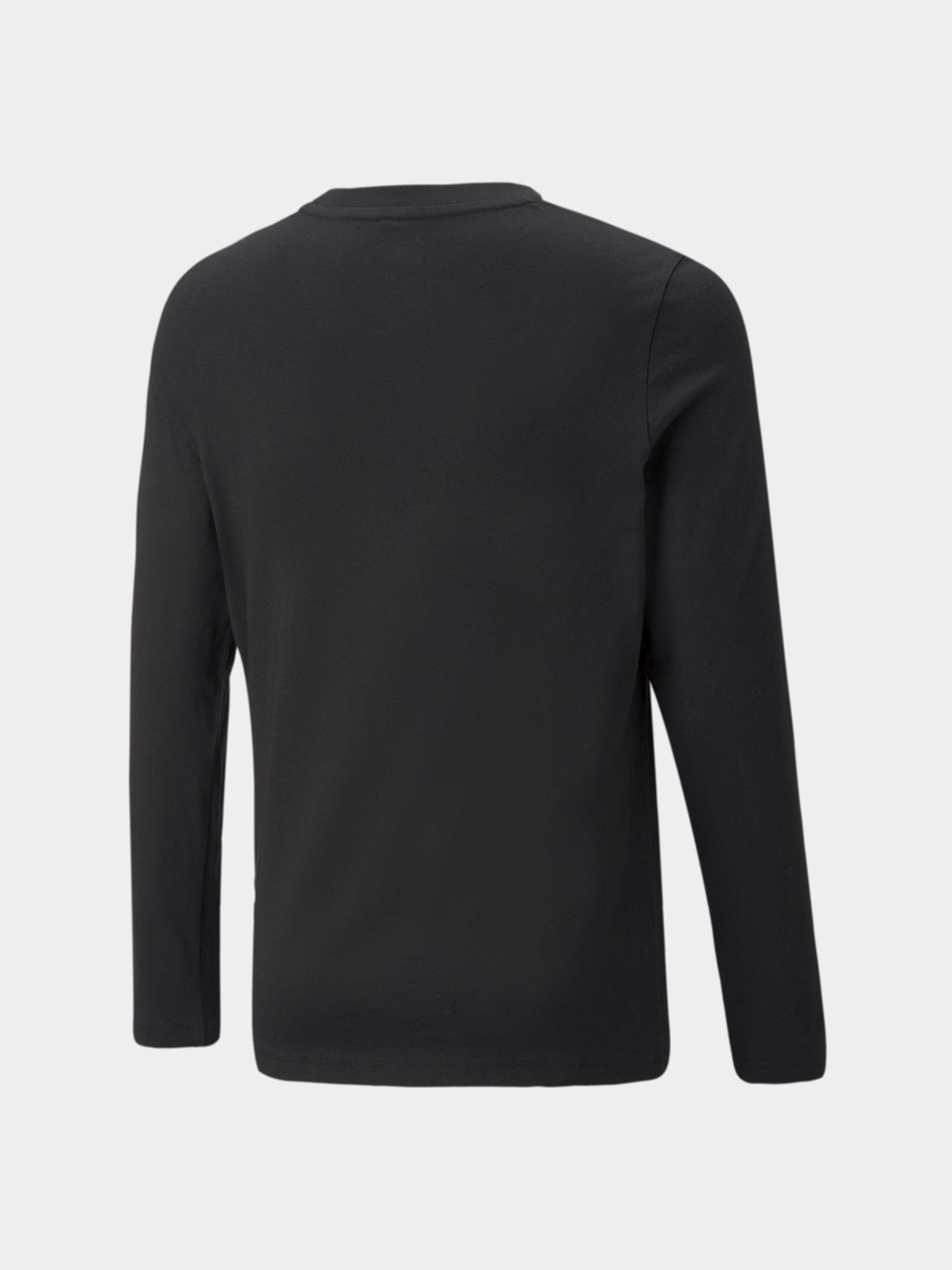 Лонгслив PUMA Active Sports Longsleeve модель 670073 Фото
