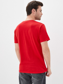 Футболка Роза модель 170201_14 Фото