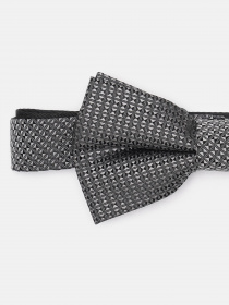 Бабочка C&A модель 62379 Фото