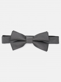 Бабочка C&A модель 62379 Фото