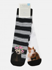 Набор носков C&A модель 48596 Фото