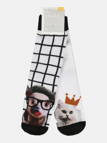 Набір шкарпеток C&A модель 48600 Фото