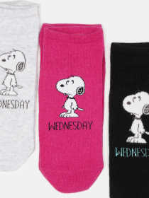 Набір шкарпеток C&A модель 58106 Фото