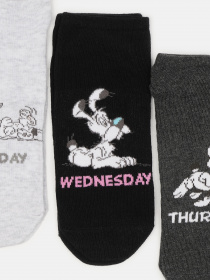 Набор носков C&A модель 58093 Фото