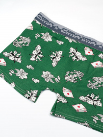 Труси ISSA Plus модель GN5-187_green Фото