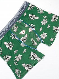 Труси ISSA Plus модель GN5-187_green Фото