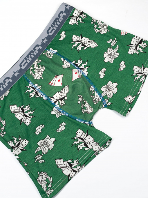 Труси ISSA Plus модель GN5-187_green Фото