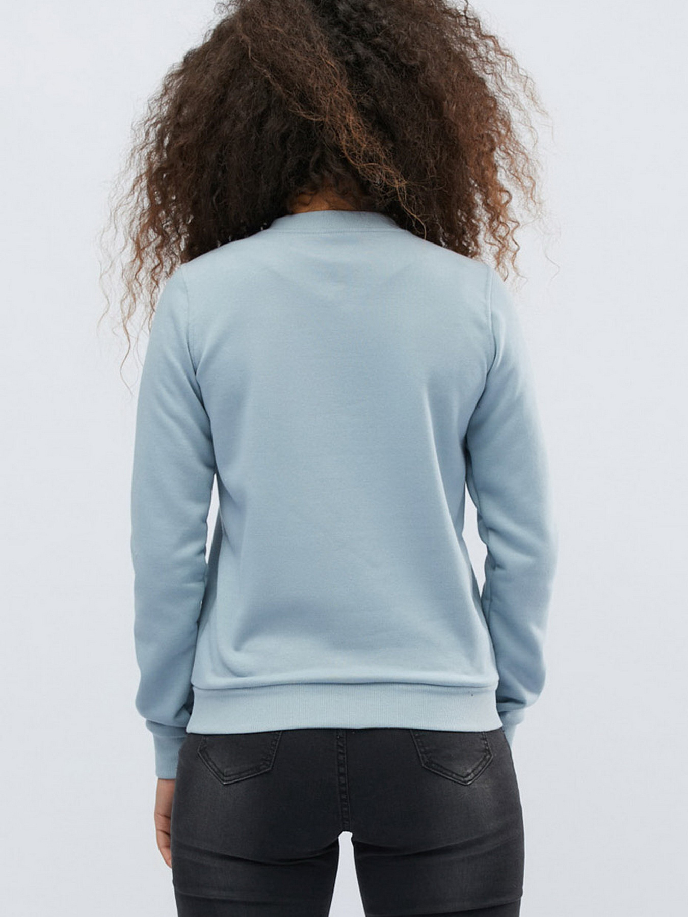 Світшот CARICA модель 207111 Фото