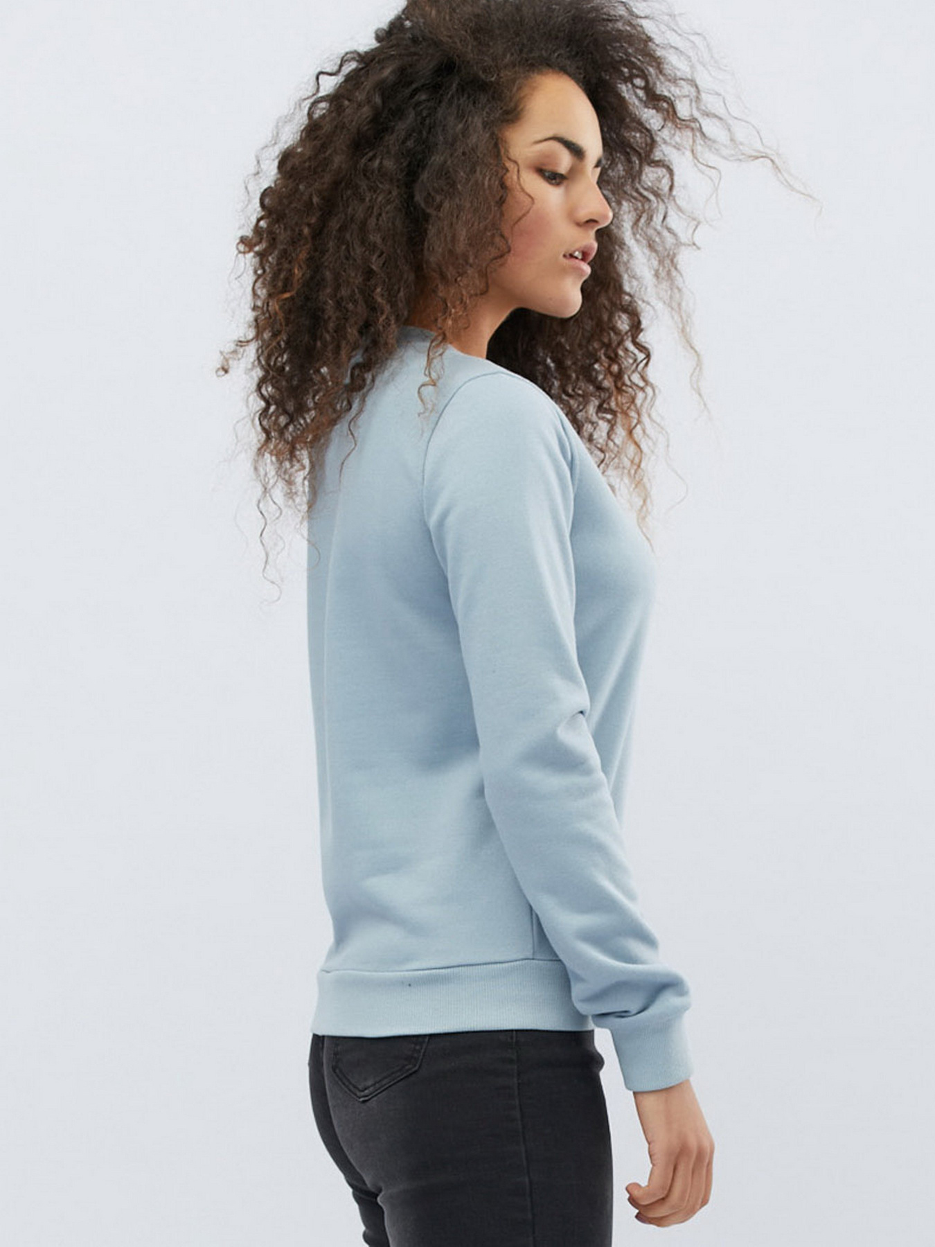 Світшот CARICA модель 207111 Фото