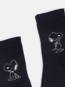 Набор носков C&A модель 66291 Фото