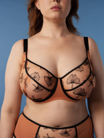 Бюстгальтер Brabrabra модель SLZ24801011_Amber Фото