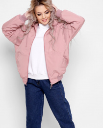 Вітровка X-Woyz модель LS889315 Фото