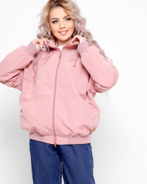 Вітровка X-Woyz модель LS889315 Фото