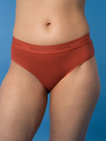 Набор трусов Brabrabra модель SLZ24402003_3_smoky-gray_light-gray_brown Фото