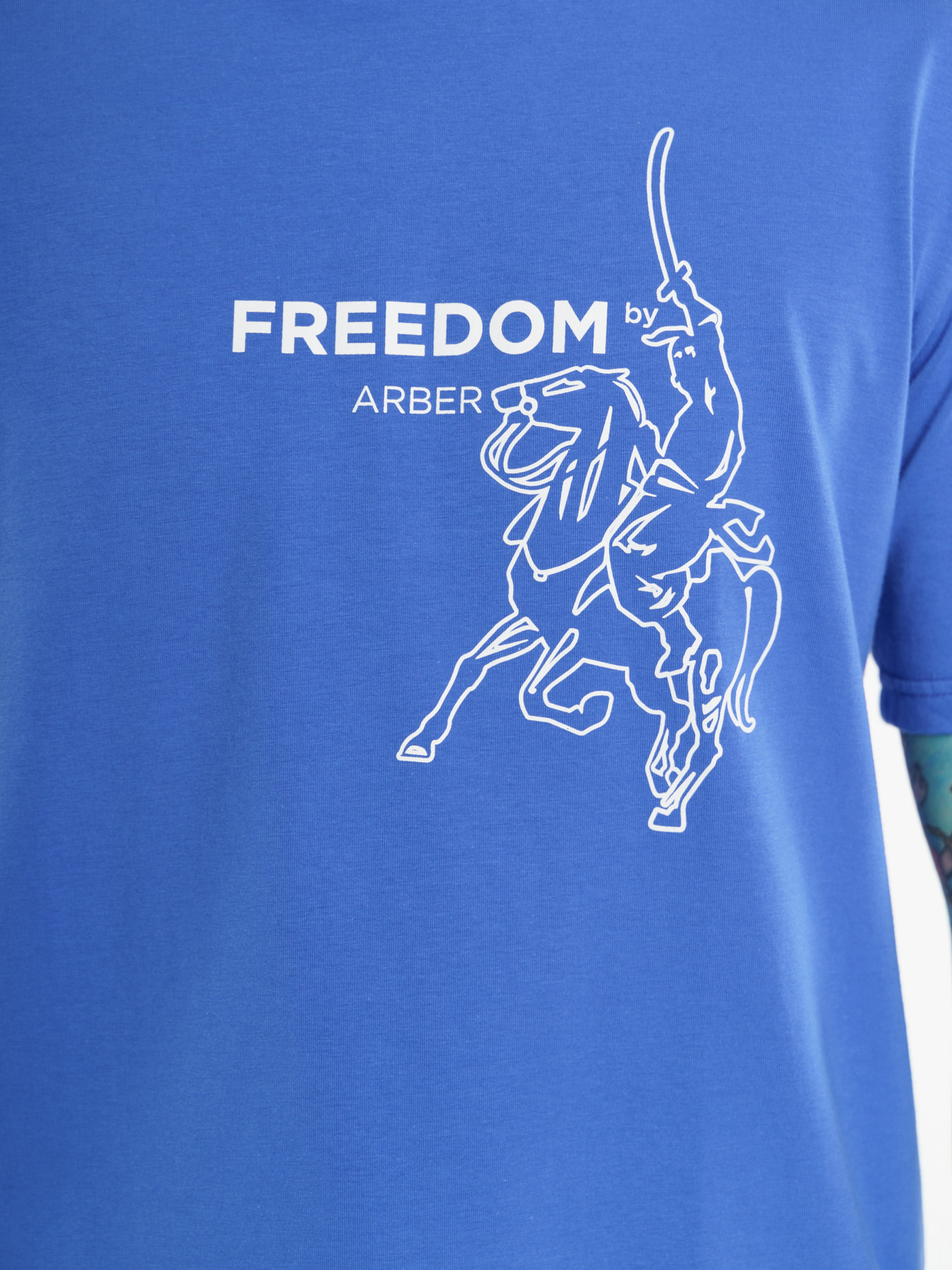 Футболка Arber модель F13.04.06.311 Фото