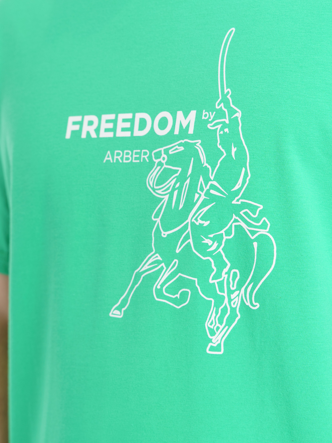 Футболка Arber модель F13.05.30.311 Фото