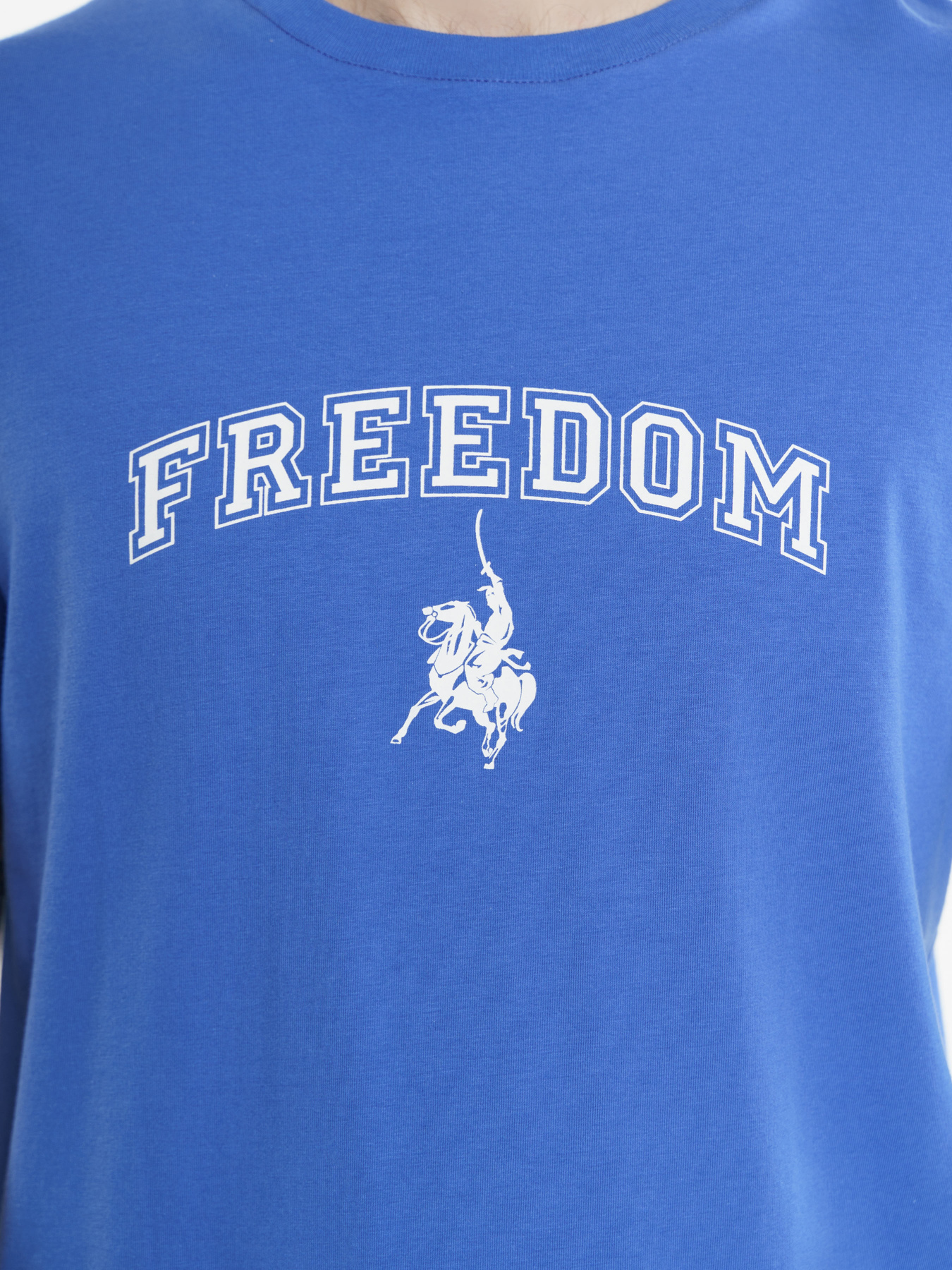 Футболка Arber модель F13.08.06.311 Фото