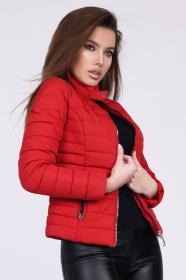 Демисезонная куртка X-Woyz модель LS882014 Фото