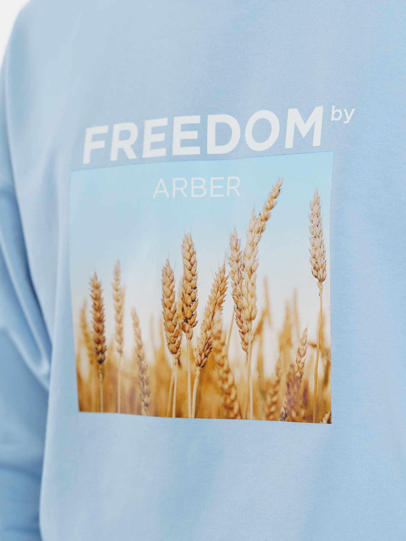 Світшот Arber модель F17.08.25.312 Фото