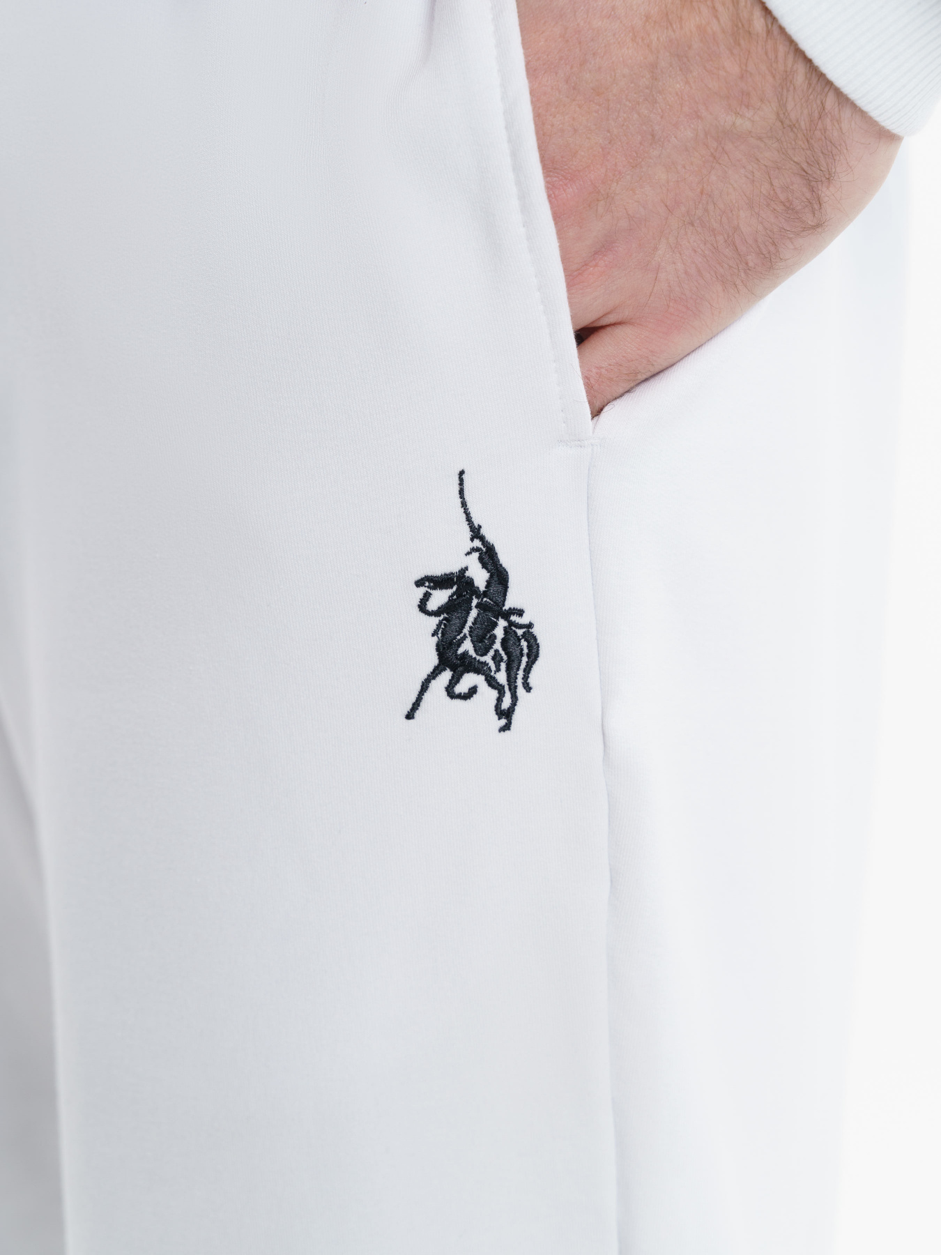 Спортивні штани Arber модель F26.02.00.311 Фото