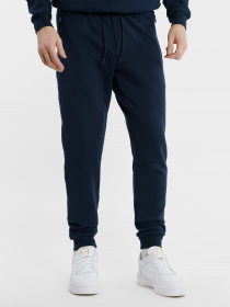 Спортивні штани Arber модель F26.03.09.311 Фото