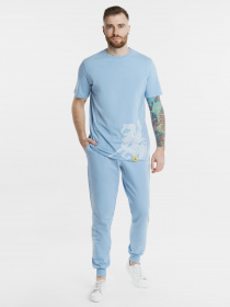 Спортивні штани Arber модель F26.07.25.312 Спортивні штани Arber модель F26.07.25.312 Фото