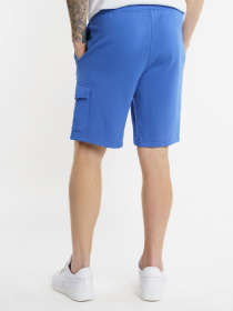 Повсякденні шорти Arber модель F28.01.06.311 Фото