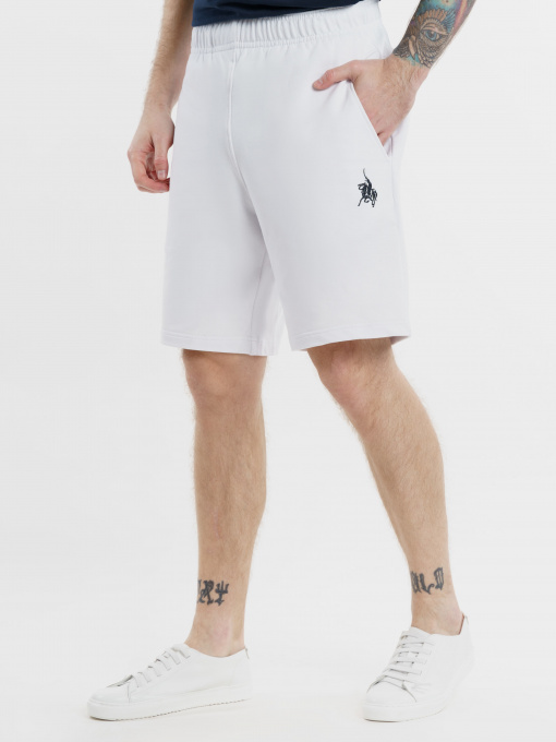 Шорты Arber модель F28.02.00.311 Фото