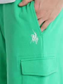 Повсякденні шорти Arber модель F28.05.30.311 Фото