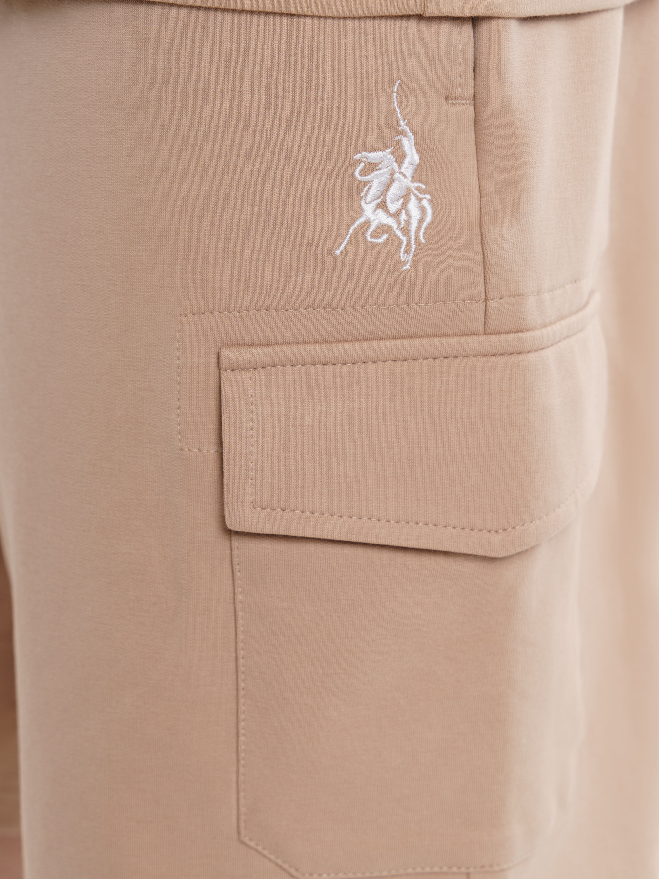 Шорты Arber модель F28.06.16.311 Фото