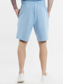 Шорты Arber модель F28.07.25.311 Фото