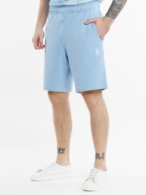 Шорты Arber модель F28.07.25.311 Фото