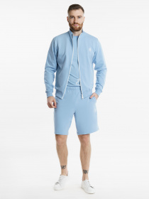 Повседневные шорты Arber модель F28.07.25.311 Фото