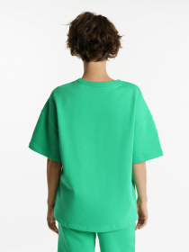 Футболки и поло Arber модель FW17.05.30.31 Фото