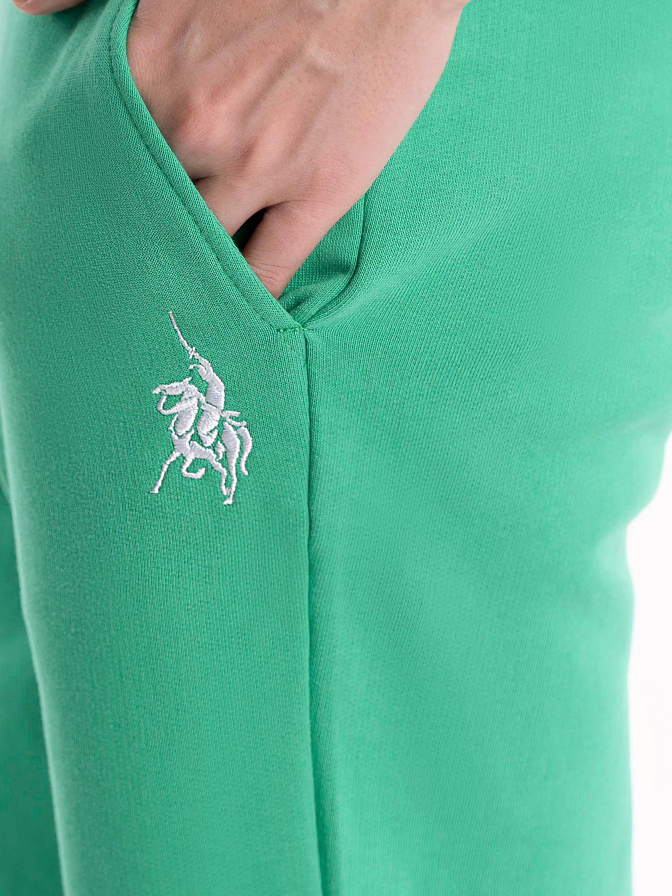 Шорты Arber модель FW28.05.30.31 Фото