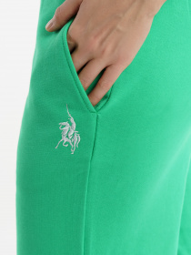 Шорты Arber модель FW28.05.30.31 Фото