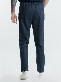 Повсякденні штани Arber модель M01.32.10.311 Фото