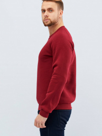 Свитшот CARICA модель 10833 Фото