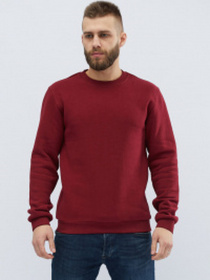 Світшот CARICA модель 10733 Фото