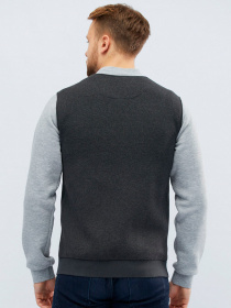 Спортивна кофта CARICA модель 11129 Фото